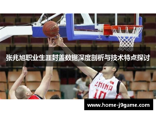 张兆旭职业生涯封盖数据深度剖析与技术特点探讨