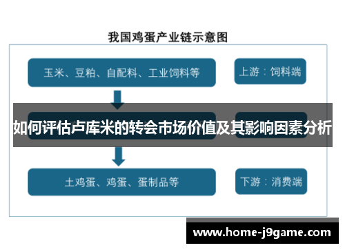 如何评估卢库米的转会市场价值及其影响因素分析